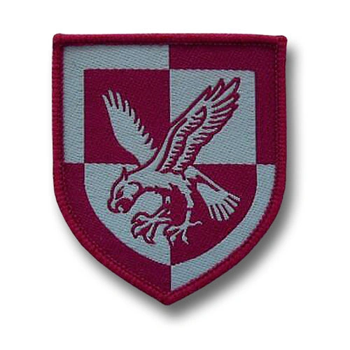 Distintivo da Paracadutista: Emozione in Volo, Onore Azzurro, Un'Icona!
